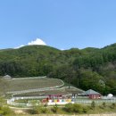 채림목장 | [대관령여행4] 하늘목장 트랙터마차 타러가긔🚜