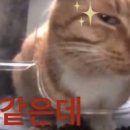 지에스25 모충로채점 | [2025 노무사 1차] 직장병행 합격 수기 / 과목별 공부 방법 / 체감 난이도 등등등...