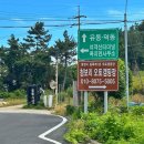 마눌 민박 | 오토캠핑장 - 낚시 스노클링 프리다이빙 등 즐길거리 가득했던 섬캠핑 / D-6 사이트 내돈내산 솔직 후기