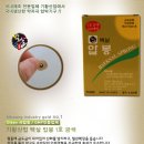 세진메디칼약품(주)
