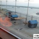 아산만생선가