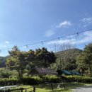 병산여자경로당 | 정관 카페] 기장 브런치 카페/ 정관 브런치 카페/ 마운틴뷰 카페/ 기장 반려동물 동반 가능/ 내돈내산 후기