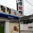 영월 초등학교 앞 이미지