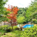 평창그린힐리조트 이미지