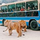자연농원 - 아산시 신통길 208 | 자연농원