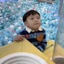 안산 고잔 키즈카페 비교｜숲마루 놀이학교 vs 자이언트제트 방문 후기