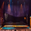 뮤지컬렛미플라이 이미지