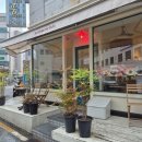 4969 | 대전 꿈돌이 디저트 투어: 파티세리러츠