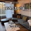 위성빌라 | 제천 포레스트 리솜 S30 빌라 클린 포레스트 체크인 시간, 카트, 내돈내산 5인 방문 후기