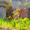 모란소주방 이미지