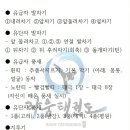 라움 태권도 이미지