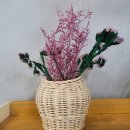 라탄스튜디오히히하하 이미지