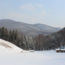 하이얀목장 이미지