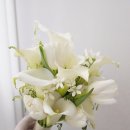 연우공방 이미지