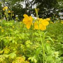 양덕저수지 둘레길 이미지