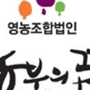 전북고추 이미지