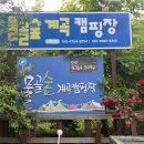 가평물골숲계곡캠핑장 | 가평:)물골숲계곡캠핑장에서 우중 캠핑!