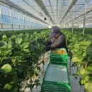 진도농장 이미지