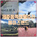 제주 동쪽가볼만한곳 메이즈랜드 미로공원 포토존 소요시간 자세한후기