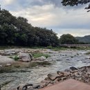 꿀돼지하우스민박 이미지