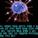 mRNA 나노 백신 폭로 이야기 이미지