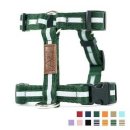 아띠지기 이미지