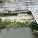 선희통닭 이미지