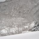 동사동 입구 이미지