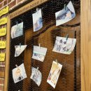 반갑다 창문밖 고양이 이미지