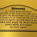 홍호아 이미지