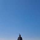 자유CC 라운드 후기_한파경보? 까짓거