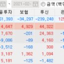 (주)현대그린푸드 현대홈쇼핑 이미지