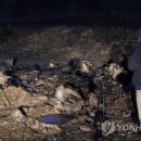 위촌1리 이미지