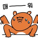 포메인청주