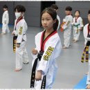 브레인 박사 태권도장 이미지