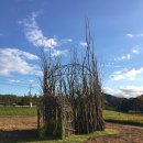 청송포레스트 이미지