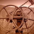 시간여행자 이미지