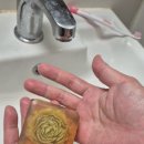 옥실농장 이미지