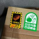 다이어트식빵 노이스트브레드 솔직후기/천연발효종 식빵/깜빠뉴 추천