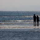 송정동 해수락 이미지