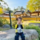 영남대학교 자연박물관 이미지