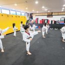 시온태권도 이미지