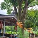 오복가든 이미지