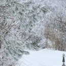 고한읍사무소 | 최고의 겨울 설경을 볼 수 있는 곳 강원도 태백 함백산의 눈꽃산행을 즐겨보세요. 엘사가 사는 겨울왕국...