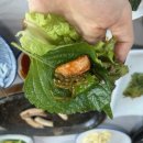 해변곰장어 이미지