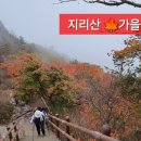 ABC메디칼센터 이미지