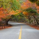 내장산 한우 한돈 이미지