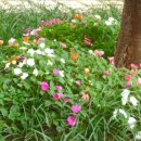 신문화건축사사무소 이미지