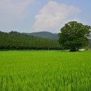 수일 농장 이미지