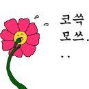 프롬나드 이미지